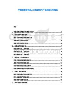 中國消費級機器人市場趨勢與產品創新分析報告