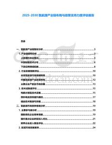 2025-2030氫能源產(chǎn)業(yè)鏈布局與政策支持力度評估報告