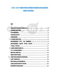 2025-2030中國半導體功率模塊市場現狀分析及投資發展潛力研究報告