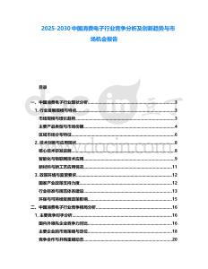 2025-2030中國消費電子行業競爭分析及創新趨勢與市場機會報告