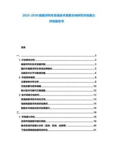 2025-2030磁懸浮列車系統(tǒng)技術(shù)革新方向研究市場潛力評估報告書