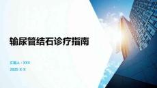 输尿管结石诊疗指南