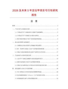 2026及未來5年定位竿項目可行性研究報告