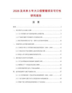 2026及未來5年大口徑管箍項目可行性研究報告