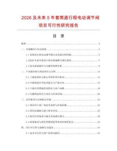 2026及未來5年套筒直行程電動調節閥項目可行性研究報告