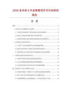 2026及未來5年鹵素管項目可行性研究報告