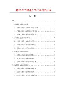 2026年下擺項目可行性研究報告