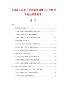 2026及未來5年雙能多道煤灰分儀項目可行性研究報告