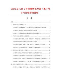 2026及未來5年球墨鑄鐵井蓋／蓖子項目可行性研究報告