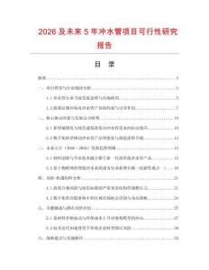 2026及未來5年沖水管項目可行性研究報告