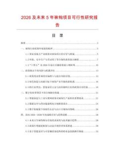 2026及未來5年襪鉤項目可行性研究報告