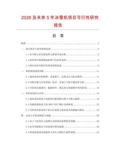 2026及未來5年冰雪機項目可行性研究報告