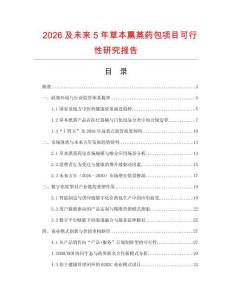 2026及未來5年草本熏蒸藥包項目可行性研究報告