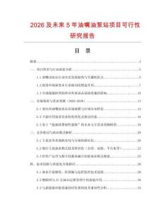 2026及未來5年油嘴油泵站項(xiàng)目可行性研究報(bào)告