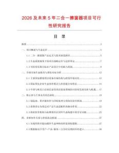 2026及未來5年二合一擦窗器項目可行性研究報告