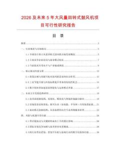2026及未來5年大風(fēng)量回轉(zhuǎn)式鼓風(fēng)機項目可行性研究報告