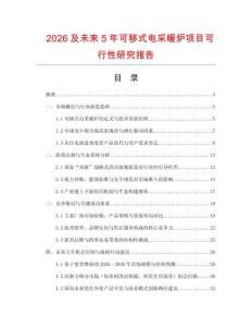 2026及未來5年可移式電采暖爐項目可行性研究報告