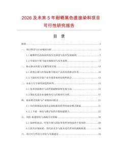 2026及未來5年耐曬黑色直接染料項目可行性研究報告