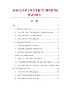 2026及未來5年卡車胎氣門嘴項目可行性研究報告
