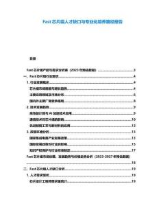 Fast芯片組人才缺口與專業化培養路徑報告