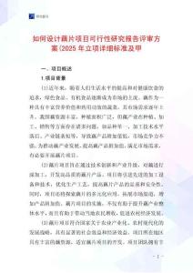 如何設計藕片項目可行性研究報告評審方案(2025年立項詳細標準及甲
