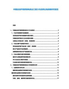 中國運動護具跨境電商出口潛力與品牌出海戰略研究報告