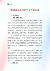 遵義單晶爐項目可行性研究報告(13)