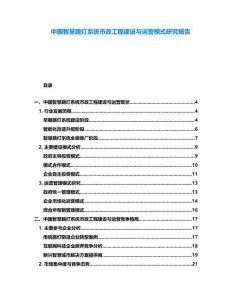 中国智慧路灯系统市政工程建设与运营模式研究报告