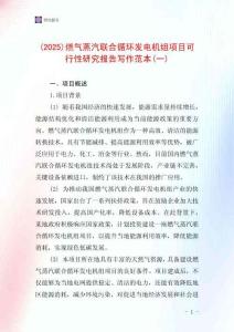 (2025)燃氣蒸汽聯合循環發電機組項目可行性研究報告寫作范本(一)