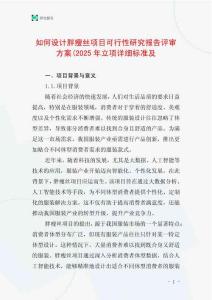如何設計胖瘦絲項目可行性研究報告評審方案(2025年立項詳細標準及