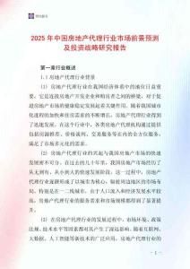 2025年中國房地產(chǎn)代理行業(yè)市場前景預測及投資戰(zhàn)略研究報告