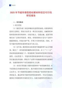 2025年節(jié)能環(huán)保型鋁硅新材料項(xiàng)目可行性研究報(bào)告