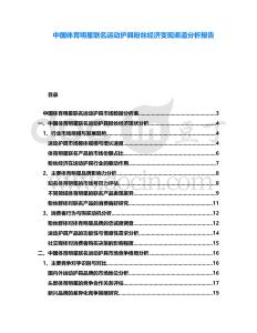 中國體育明星聯名運動護具粉絲經濟變現渠道分析報告
