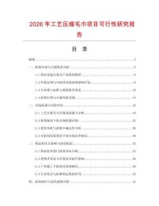 2026年工藝壓縮毛巾項目可行性研究報告