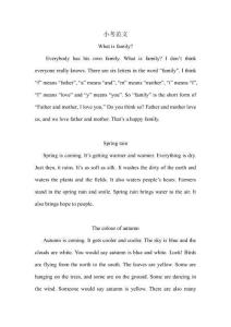 小升初英語小考英語優(yōu)秀作文2