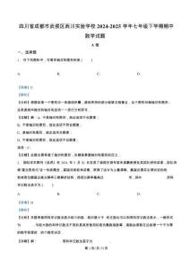 精品解析：四川省成都市武侯区西川实验学校2024-2025学年七年级下学期期中数学试题（解析版）