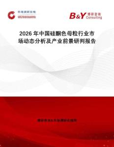 2026年中國硅酮色母粒行業(yè)市場(chǎng)動(dòng)態(tài)分析及產(chǎn)業(yè)前景研判報(bào)告