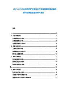 2025-2030比特幣挖礦設備行業市場深度調研及發展趨勢和投資前景預測研究報告