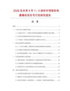 2026及未來5年1／3迷你半球型彩色攝像機項目可行性研究報告