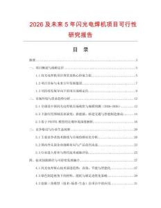 2026及未來5年閃光電焊機項目可行性研究報告