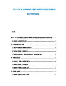2025-2030鐵銹除漬業市場現狀供需分析及投資評估規劃分析研究報告