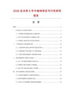 2026及未來5年中繼閥項目可行性研究報告
