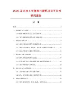 2026及未來5年微型打磨機(jī)項(xiàng)目可行性研究報(bào)告