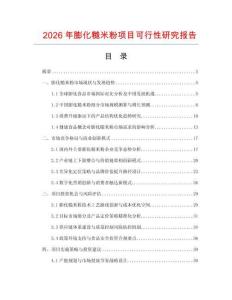 2026年膨化糙米粉項目可行性研究報告