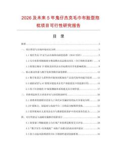 2026及未來5年鬼仔杰克毛巾布臉型抱枕項目可行性研究報告