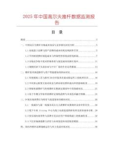 2025年中國高爾夫推桿數(shù)據(jù)監(jiān)測報告