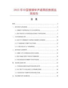 2025年中國鍍鎳單聲道黑膠數據監測報告