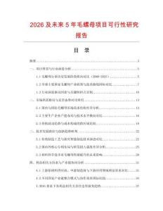 2026及未來5年毛螺母項目可行性研究報告