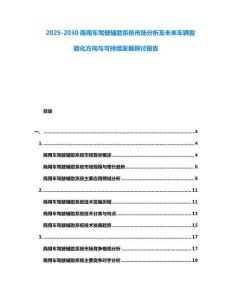2025-2030商用车驾驶辅助系统市场分析及未来车辆智能化方向与可持续发展探讨报告