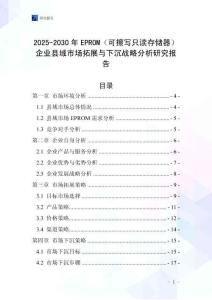 2025-2030年EPROM（可擦寫只讀存儲(chǔ)器）企業(yè)縣域市場(chǎng)拓展與下沉戰(zhàn)略分析研究報(bào)告